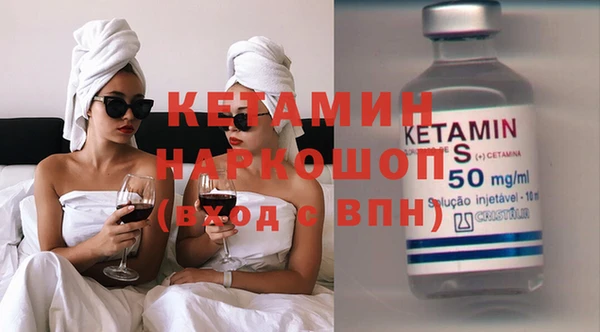 шишки Абаза
