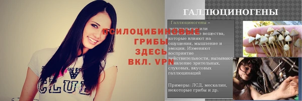ГАЛЛЮЦИНОГЕННЫЕ ГРИБЫ Абдулино