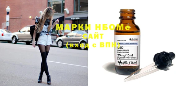 шишки Абаза