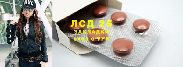 шишки Абаза
