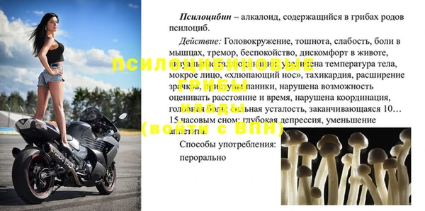 шишки Абаза
