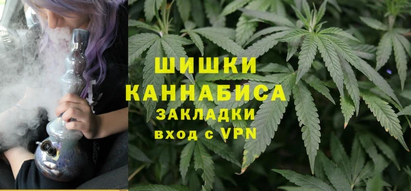 шишки Абаза