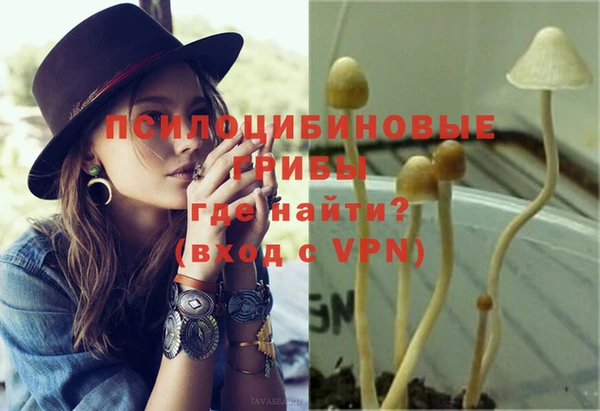 шишки Абаза