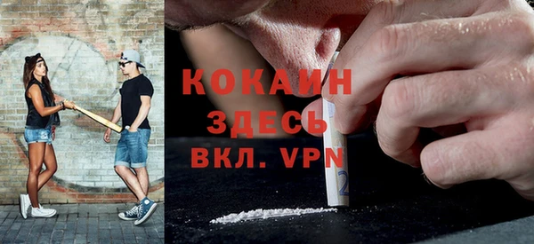 шишки Абаза